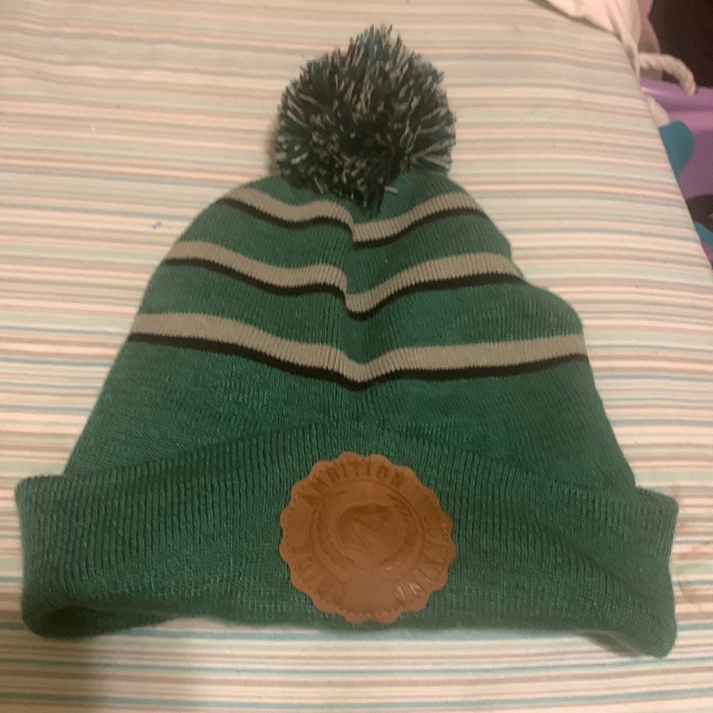 Harry Potter Slytherin Winter Hat